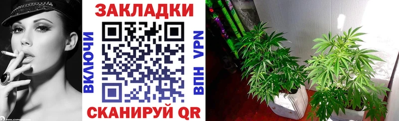 Сколько стоит Ачхой-Мартан Каннабис COCAIN ГАШИШ