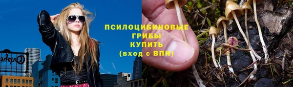 стаф Богородицк