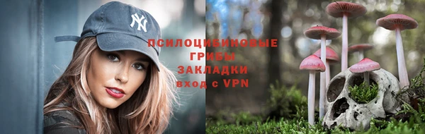 ALPHA PVP Богданович