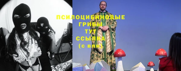 сатива Верея