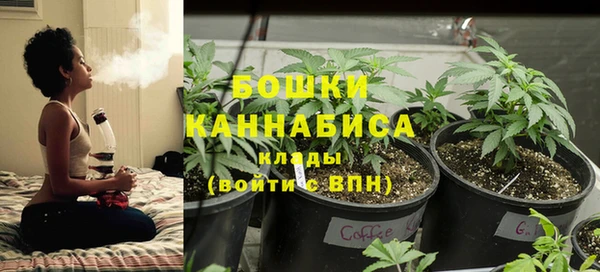 ПСИЛОЦИБИНОВЫЕ ГРИБЫ Богородск