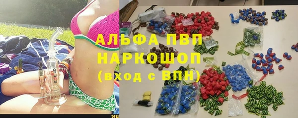 сатива Верея
