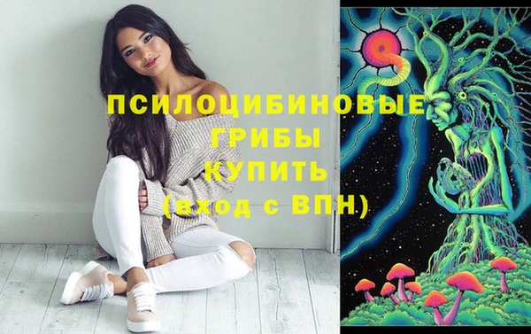 ПСИЛОЦИБИНОВЫЕ ГРИБЫ Богородск