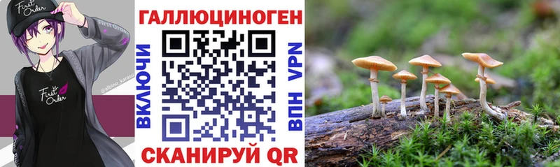 Галлюциногенные грибы мухоморы  наркота  Ачхой-Мартан 
